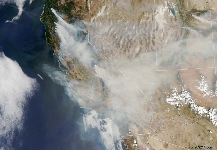 California s Clean Air Crisis: Fueling a Booming Luxury Purification Market