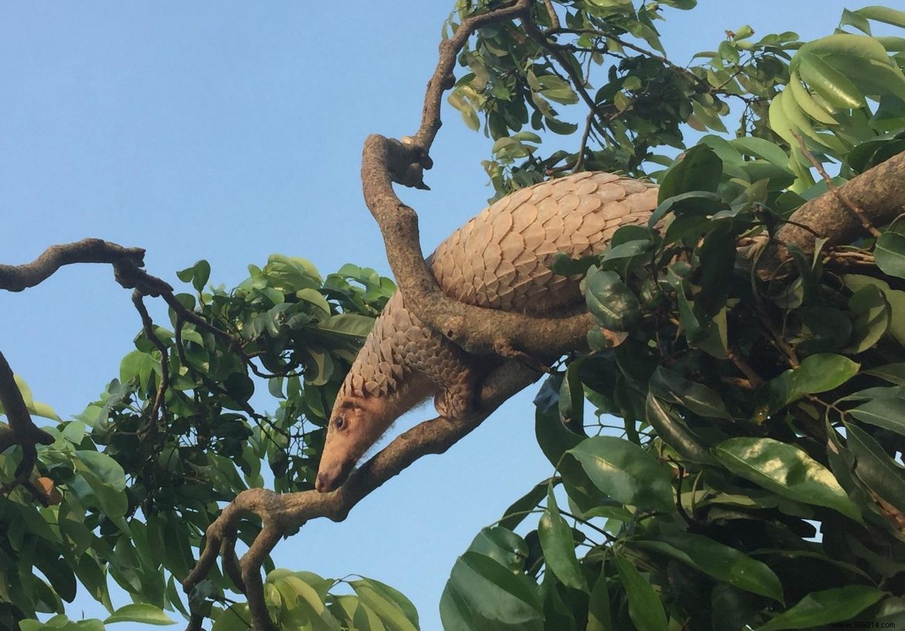 COVID-19 Origins: Why the Lab Accident Hypothesis Remains Relevant