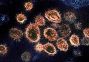 Can Mouthwashes Help Prevent COVID-19 Transmission? Key Findings from a US Lab Study