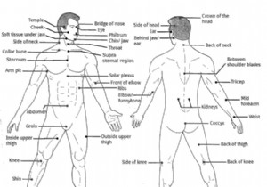 Vital Points in Martial Arts: Scientific Reality or Myth?