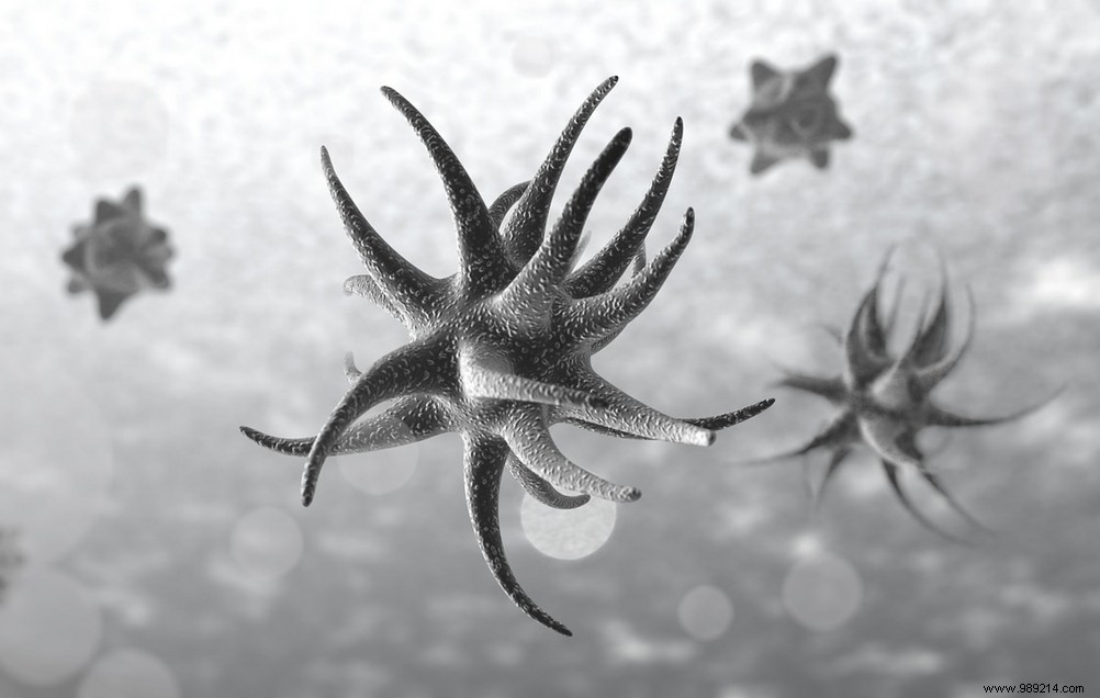 Mapping Hotspots for the Next Global Pandemic: Insights from University of Sydney Experts