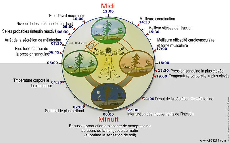 Michel Siffre s Landmark Cave Experiment: Proving the Human Circadian Clock