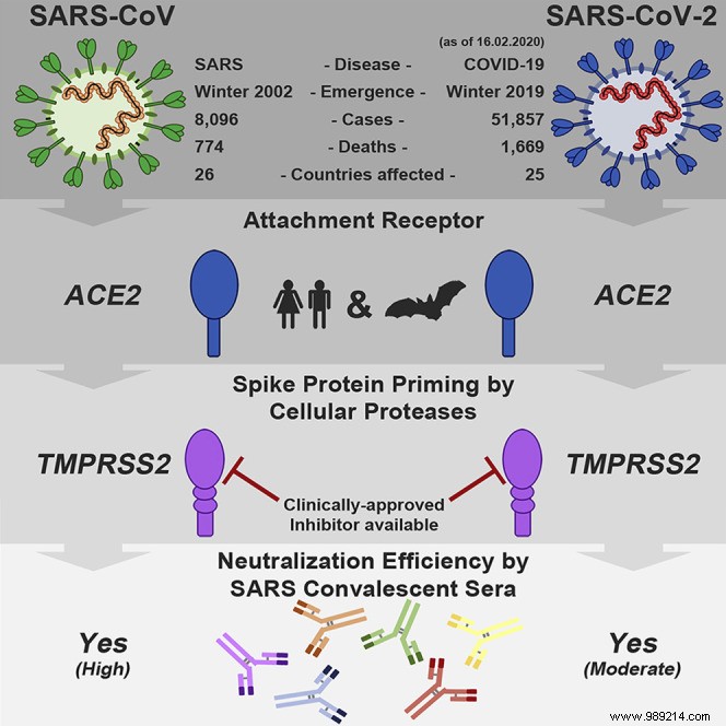 Institut Curie Breakthrough: Extracellular Vesicles as Decoys to Neutralize COVID-19
