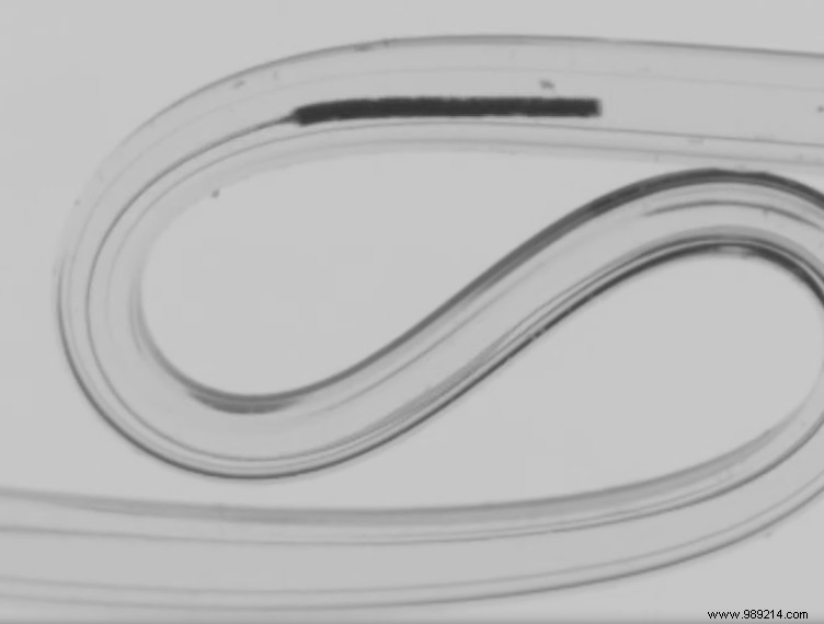 EPFL Breakthrough: Hair-Thin Micro-Device Navigates Blood Vessels for Non-Invasive Brain Access