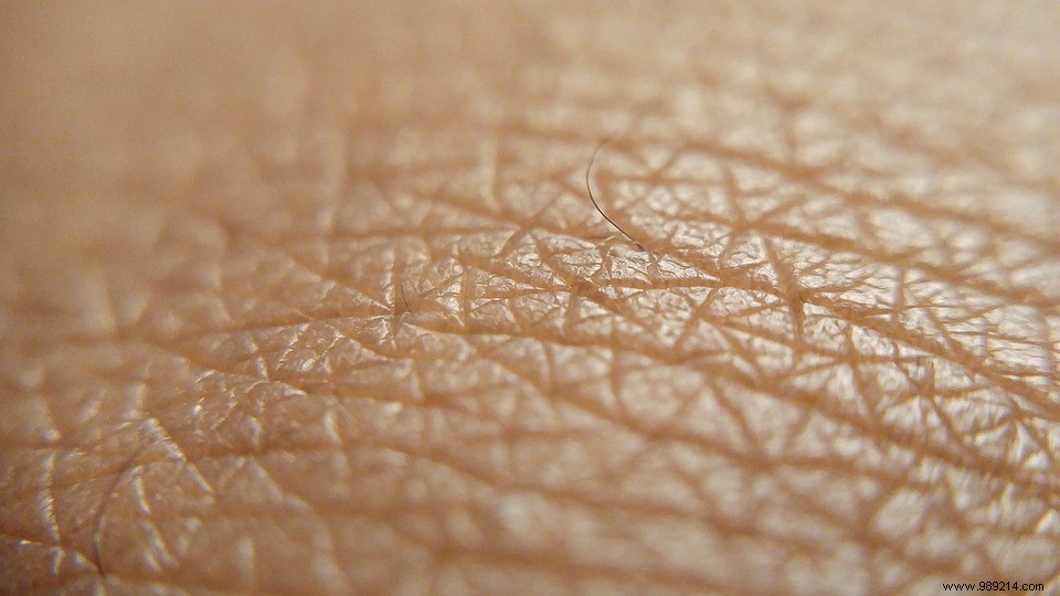 Understanding Skin Aging: Why Wrinkles Form and Proven Ways to Slow Them