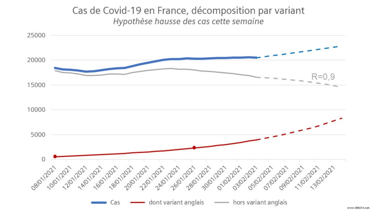 Why COVID-19 Variants Raise Alarms: Key Insights from a French Statistician s Graphs