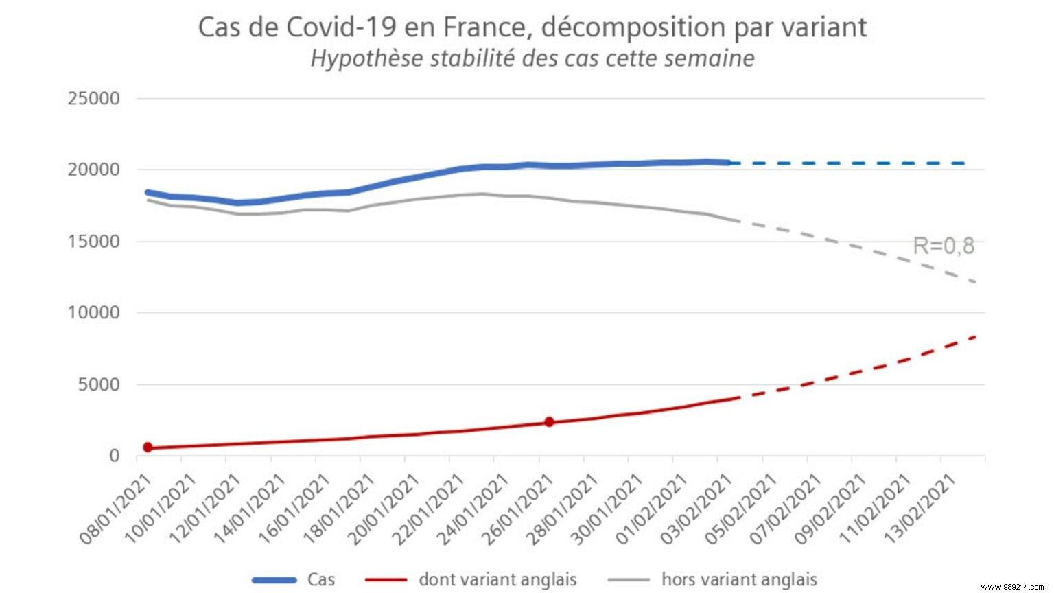 Why COVID-19 Variants Raise Alarms: Key Insights from a French Statistician s Graphs