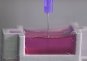 Australian Researchers Pioneer In-Body 3D Bone Printing with Living Cells