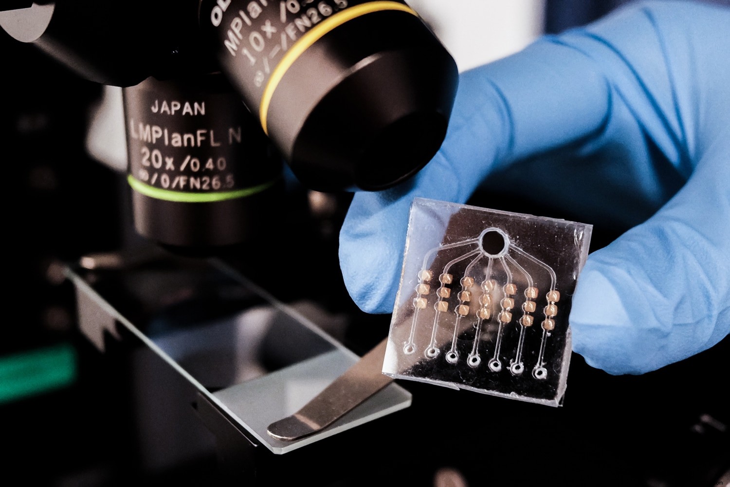 NUS Breakthrough: Blood Test Tracks Cancer Treatment Success in Just 24 Hours