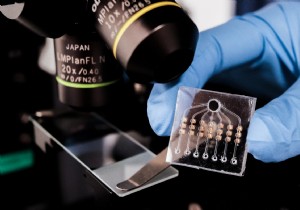 NUS Breakthrough: Blood Test Tracks Cancer Treatment Success in Just 24 Hours