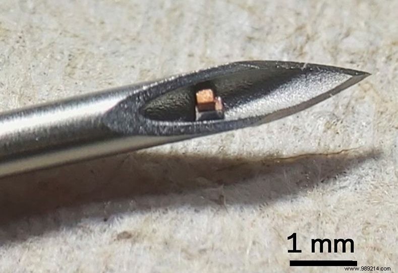 Implantable Microchips: Columbia University s Breakthrough for Health Monitoring, Not Surveillance