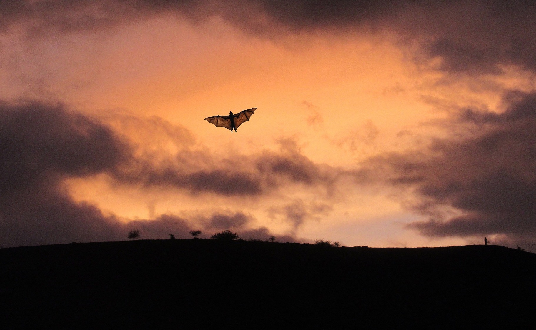 Virologist Recovers 13 Deleted Early SARS-CoV-2 Sequences from Wuhan Outbreak