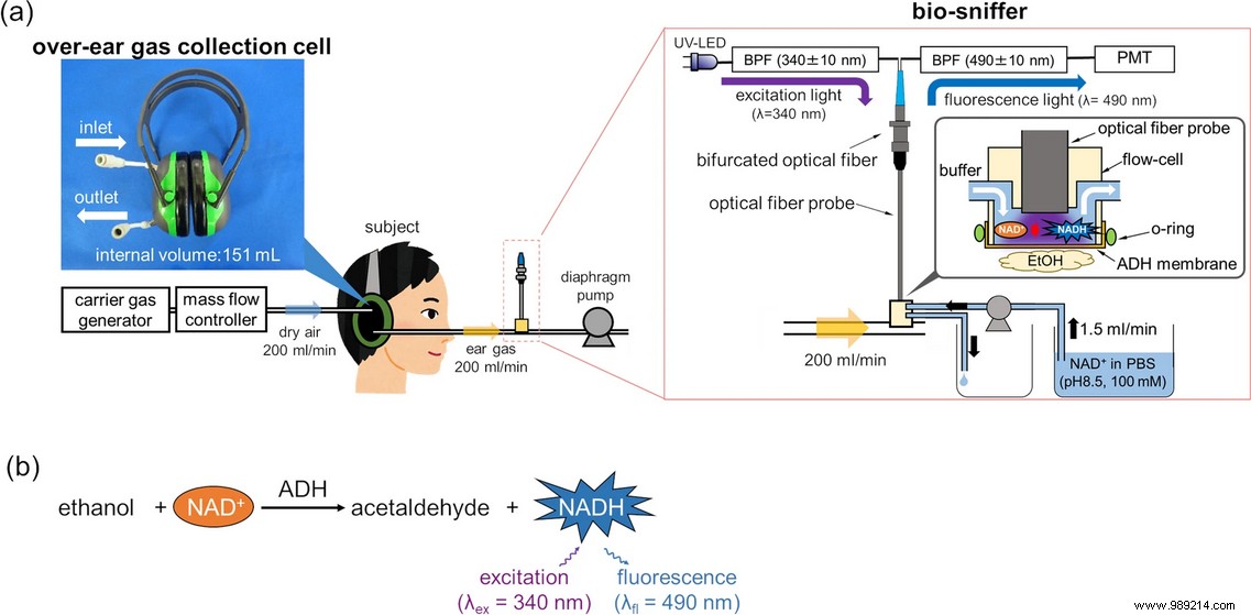 Japanese Researchers Repurpose Noise-Canceling Headphones for Non-Invasive Blood Alcohol Testing