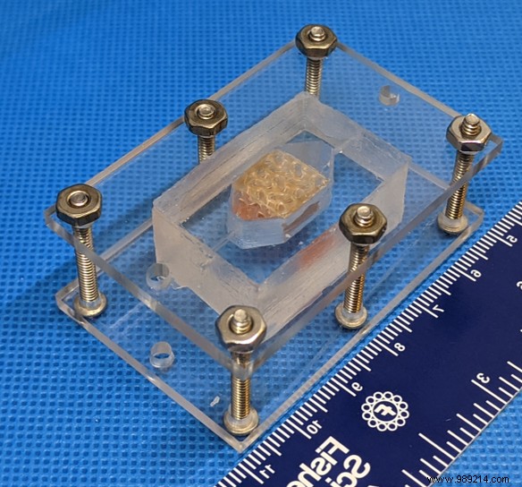 NASA s Vascular Tissue Challenge: Breakthrough in 3D-Printed Human Tissues for Space Missions