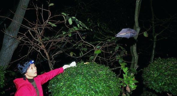 Dr. Shi Zhengli Firmly Denies COVID-19 Lab Leak from Wuhan Institute