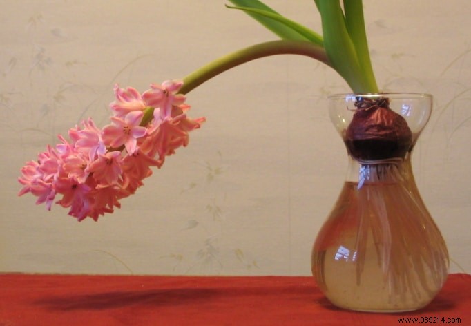 Causes of Erectile Dysfunction in Men: Risk Factors and Why Seek Medical Advice