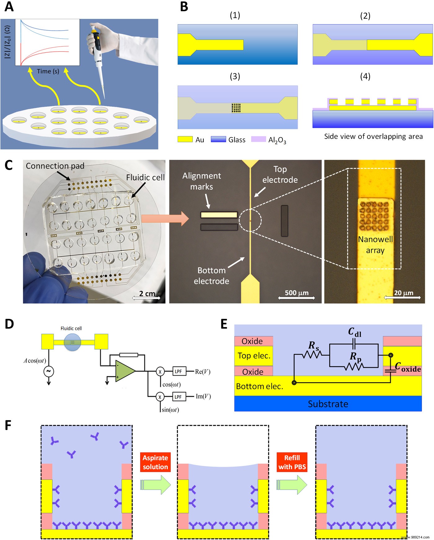 Breakthrough Microchip Detects Stress Hormones in Real-Time from a Single Blood Drop