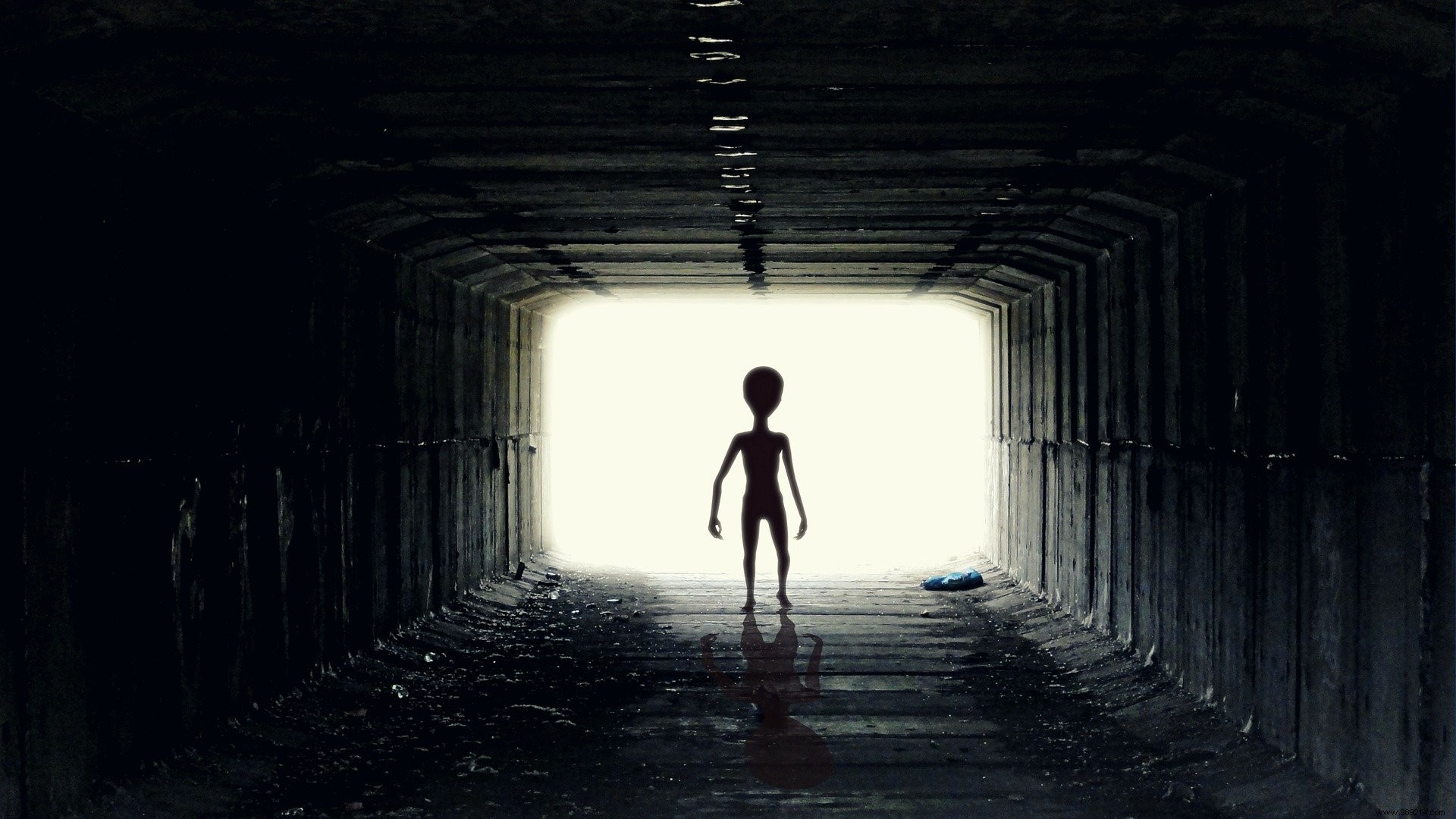 Lucid Dreaming May Explain Alien Abduction Reports, New Russian Study Suggests