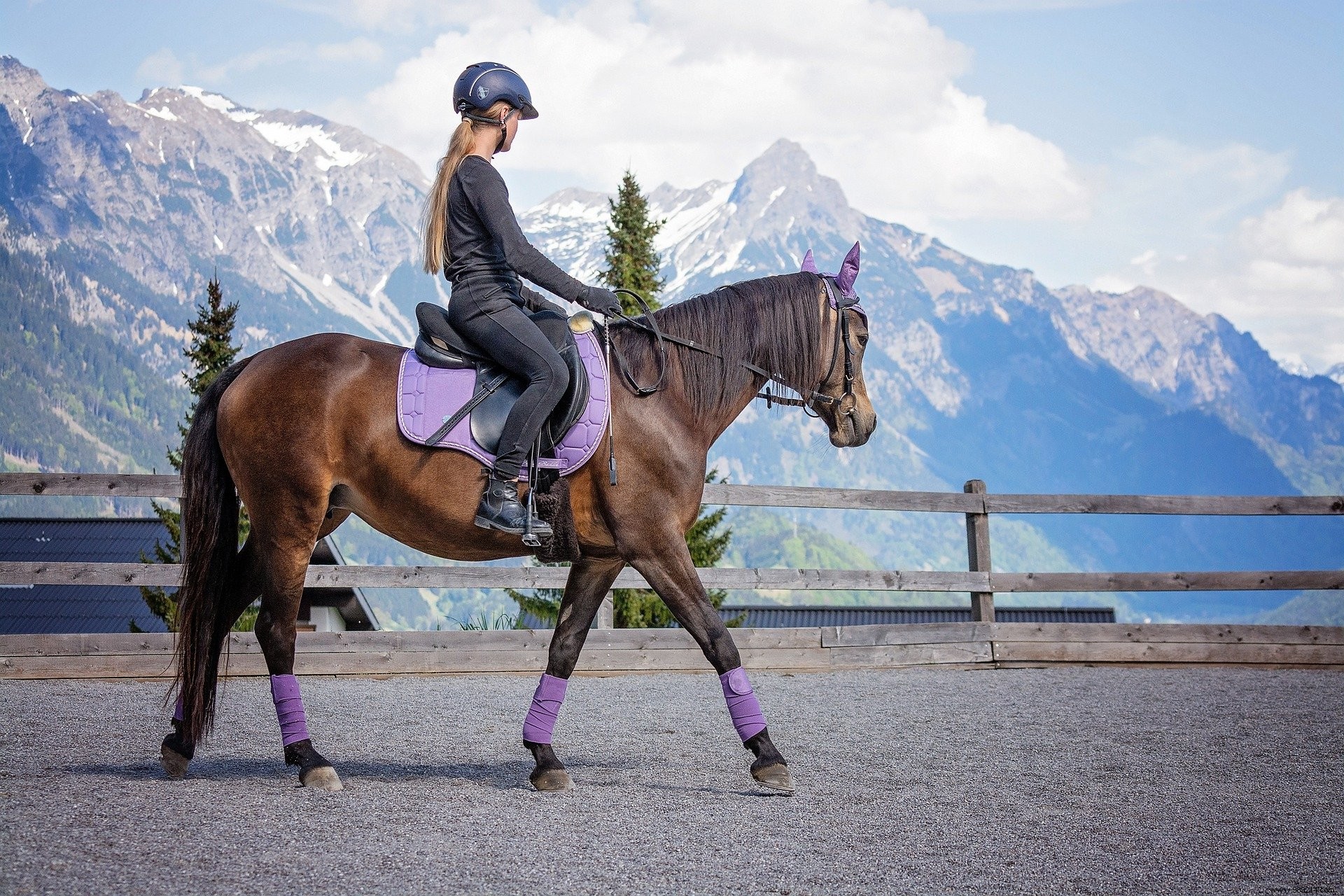 US Study: Horseback Riding Causes More Hospital Visits Than Skiing Over 10 Years