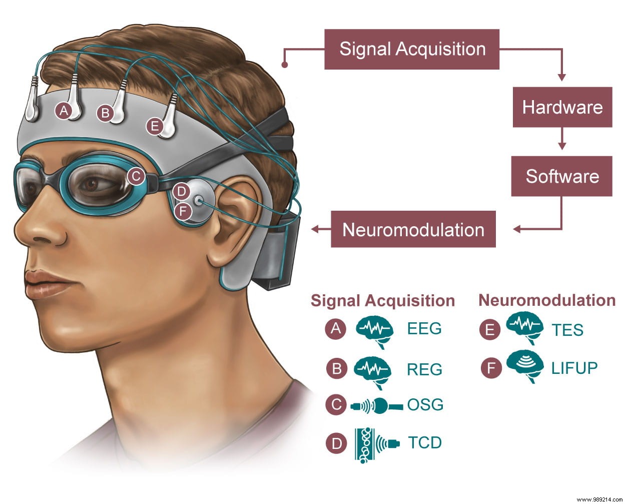 U.S. Army Funds $2.8M Nightcap Project to Optimize Brain Cleansing and Soldier Performance