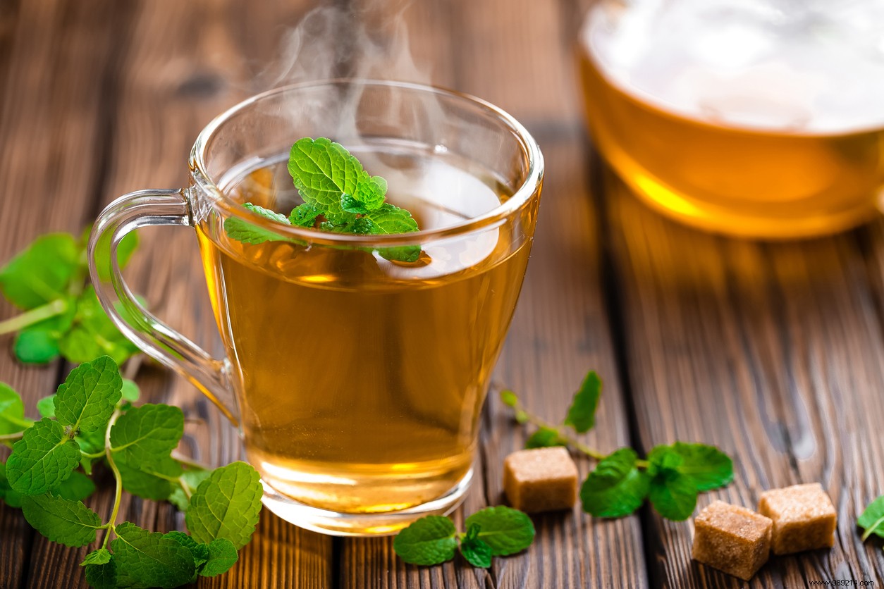 Swiss Study: Green Tea Catechins Boost Defenses Like Vaccines, Not Antioxidants