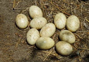 Japanese Scientists Unveil COVID-19 Detection Mask That Glows on Virus Contact