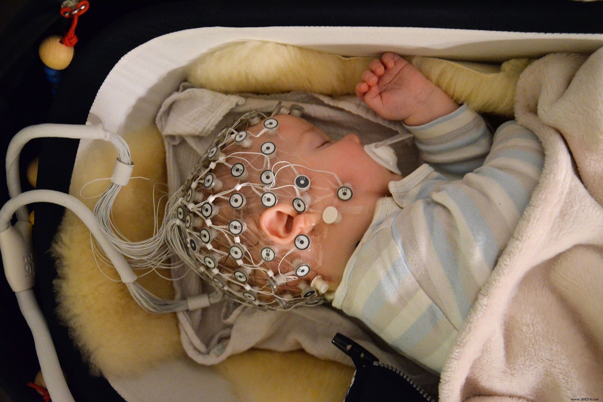 Swiss Study Links Infants  Gut Microbiota Diversity to Sleep Patterns
