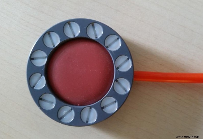 German Researchers Pinpoint Brain Region for Clitoral Stimulation in Landmark MRI Study