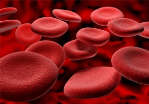 Breakthrough Study: Transforming Donor Lungs into Universal Organs for Any Blood Type