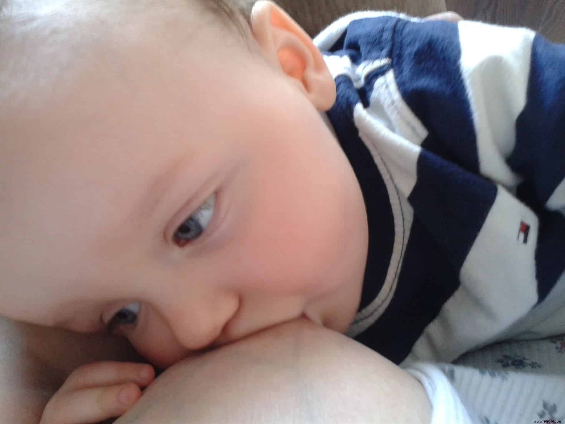 Study: Milk-Sharing Among Female Mammals Boosts Fertility and Litter Sizes