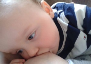 Study: Milk-Sharing Among Female Mammals Boosts Fertility and Litter Sizes