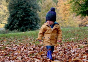 Alarming Report Reveals Rising Infertility in France: IVF Births Now 1 in 40 Children