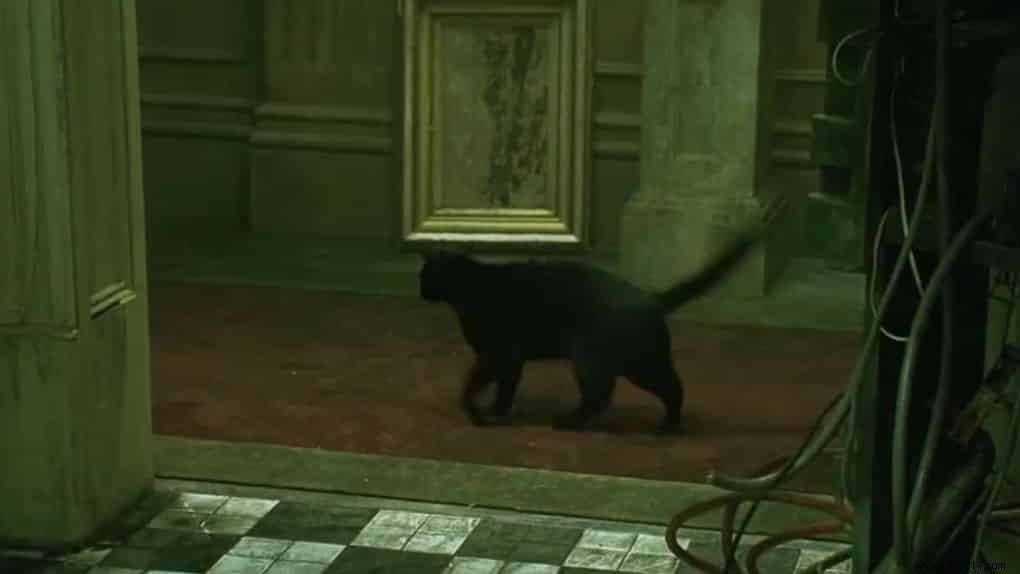 Jamais Vu: The Eerie Opposite of Déjà Vu Explained