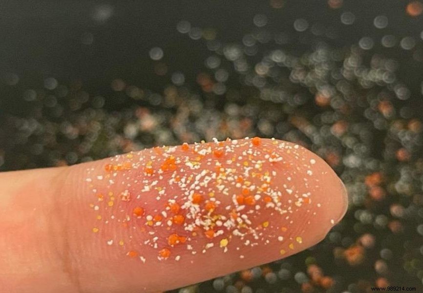 First-Ever Detection: Microplastics Found in Lungs of Living Humans