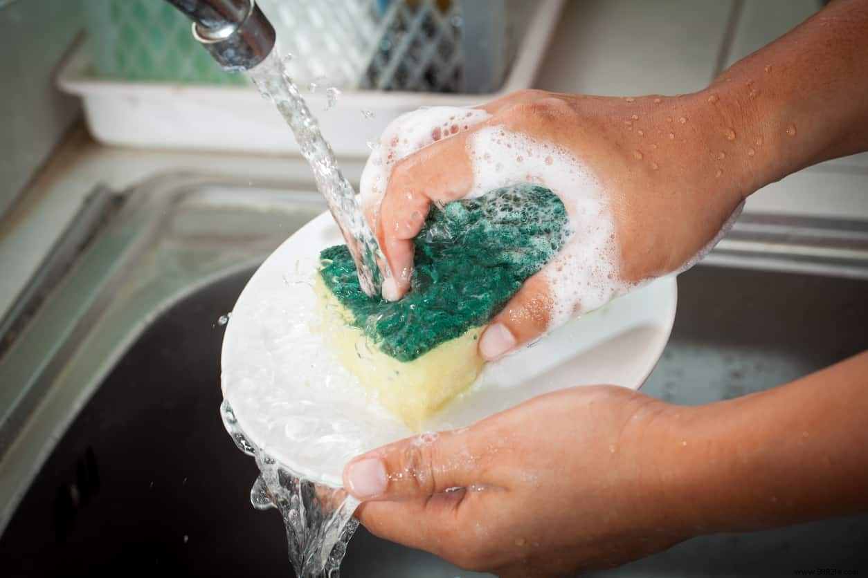 Why Kitchen Sponges Harbor More Bacteria Than Toilets: The Science Explained