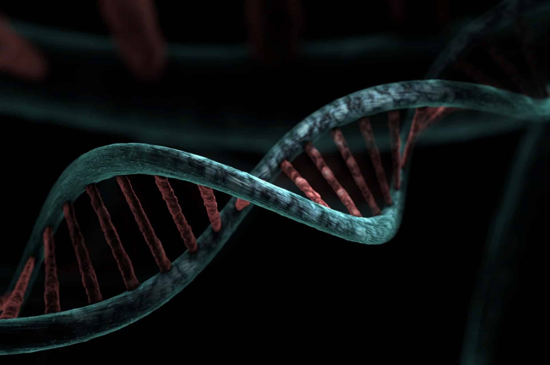 Human Genome Fully Sequenced: Closing the Final 8% Gap After Two Decades