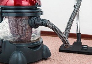 Debunking the Myth: Is Household Dust Mostly Dead Skin?