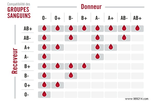 Why Blood Type O Stands Out: The Universal Donor Explained
