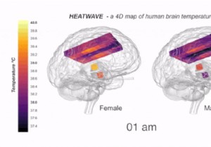 Human Brain Runs Hotter Than We Thought: Groundbreaking 4D Temperature Maps Reveal New Insights
