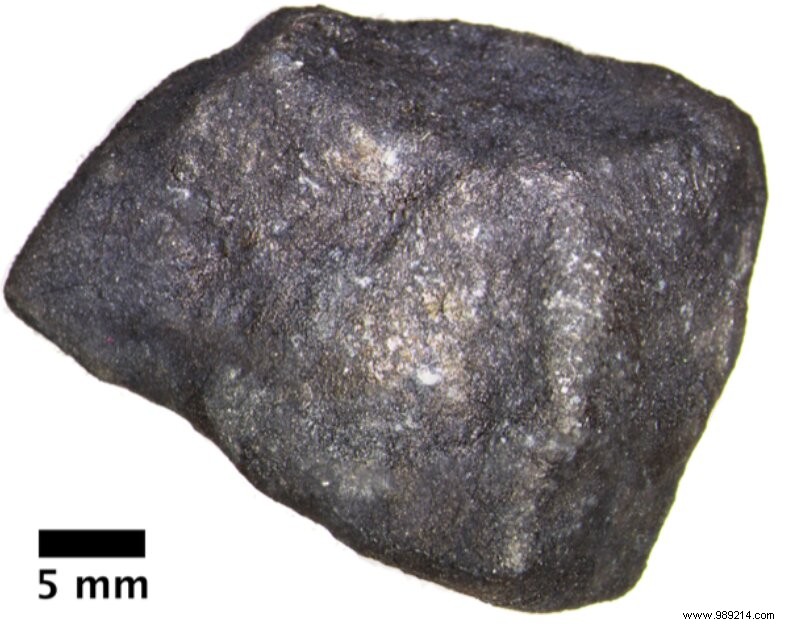 Pristine Michigan Meteorite Yields Over 2,600 Uncontaminated Organic Compounds Tied to Earth s Life Origins