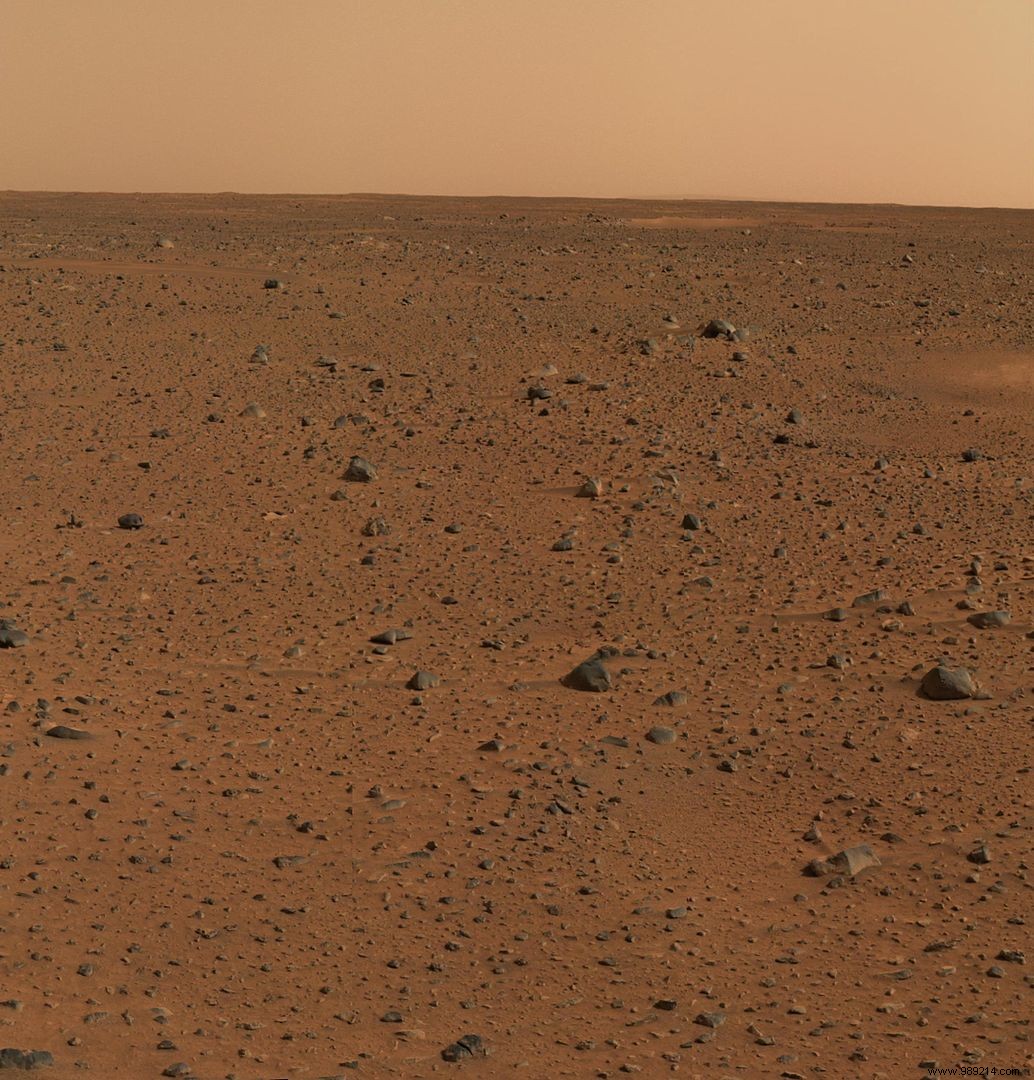 US Geologists Recreate Martian Soil to Pioneer Plant Growth for Mars Colonization