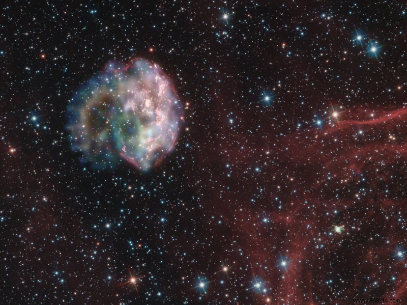 Ancient Tree Rings Reveal Traces of Nearby Supernovae Over 40,000 Years