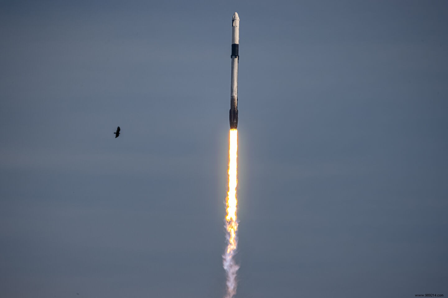SpaceX Breaks Annual Launch Record with 24 Missions Despite Pandemic Hurdles
