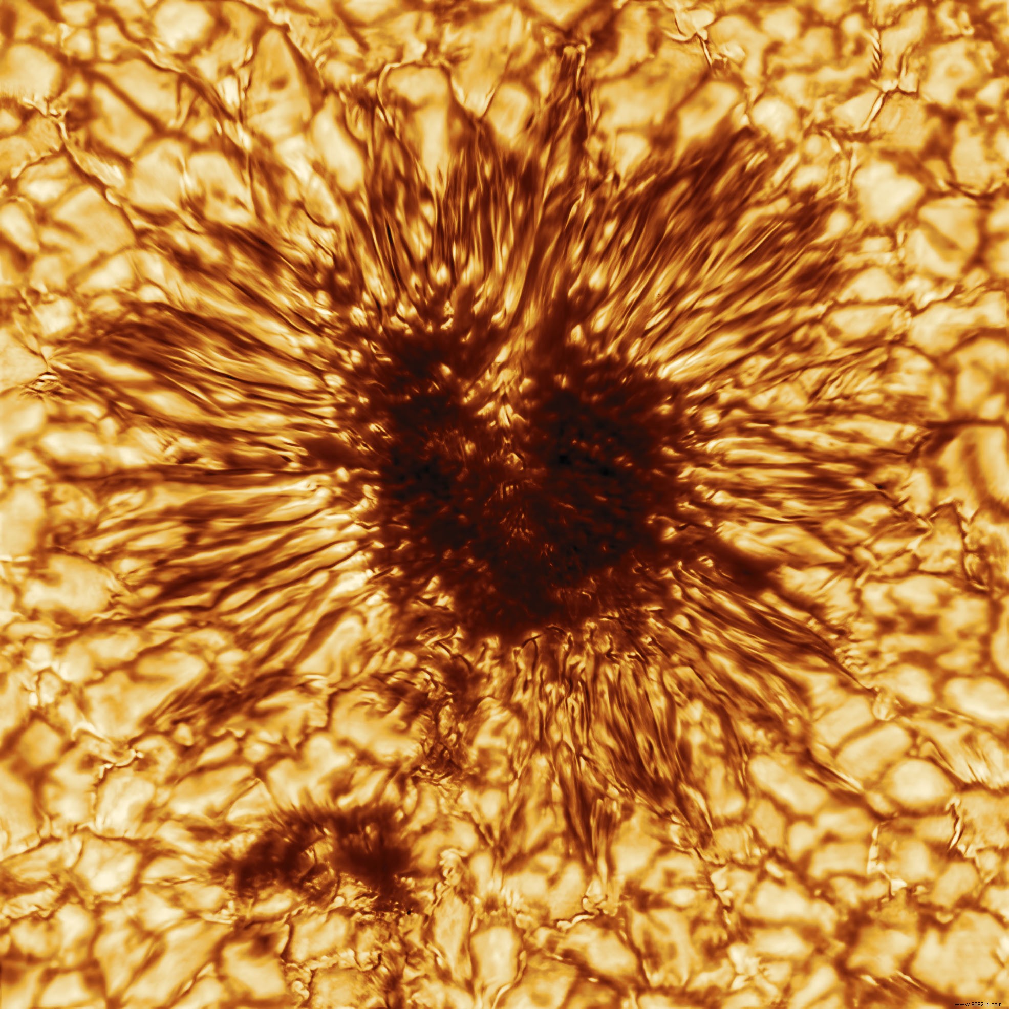 World s Largest Solar Telescope Captures Stunning First Image of Massive Sunspot