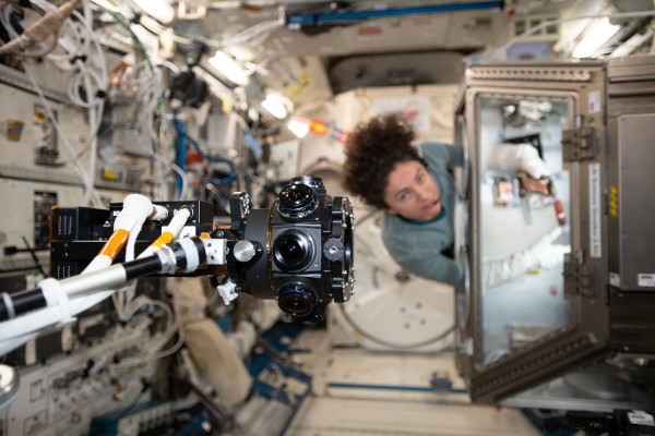 Highlights from a Productive Year of ISS Research