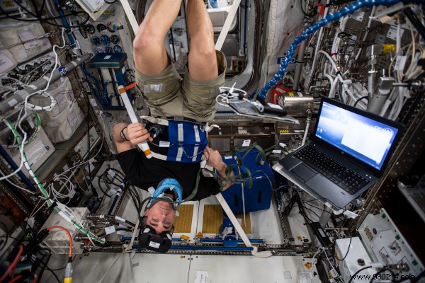 Highlights from a Productive Year of ISS Research