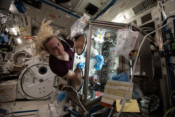 Highlights from a Productive Year of ISS Research