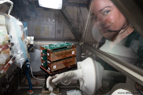 Highlights from a Productive Year of ISS Research