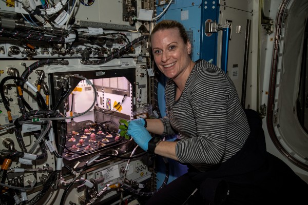 Highlights from a Productive Year of ISS Research