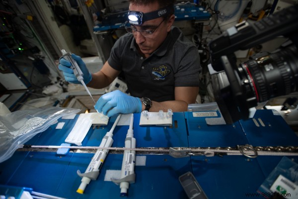 Highlights from a Productive Year of ISS Research